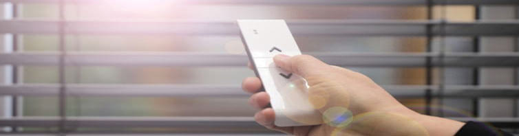 Persianistas en Santurtzi